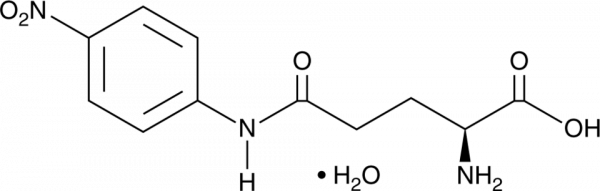 L-Glutamic Acid gamma-p-Nitroanilide (hydrate)