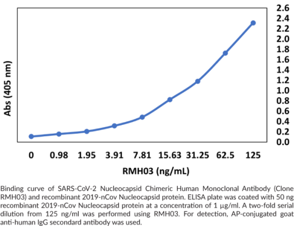 Anti-SARS-CoV-2 Nucleocapsid Chimeric Human (