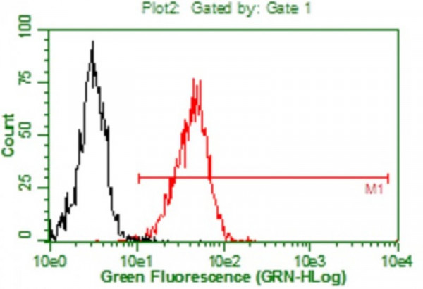 Anti-Galectin-8 (human), Azide Free Clone B-Z18