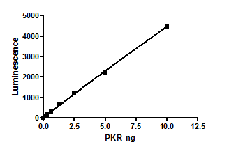 PKLR Var2 (PKL), active human recombinant protein