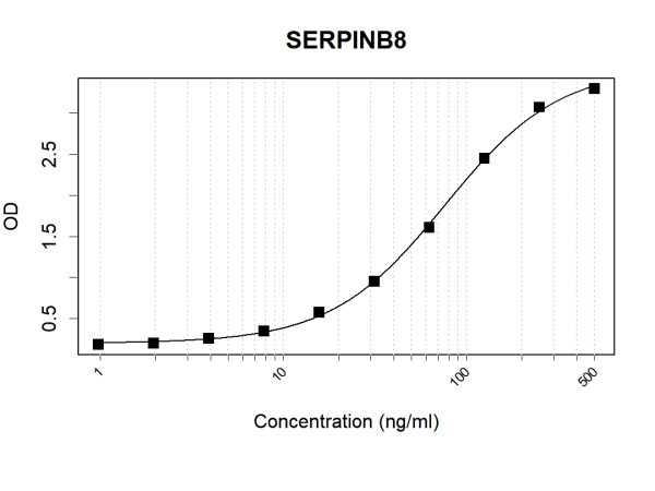 Anti-Human SERPINB8 Antibody Pair