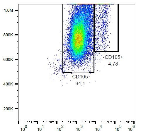 Anti-CD105, clone MJ7/18 (PE )
