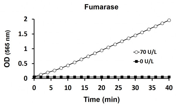 Fumarase Activity Assay Kit (Colorimetric)