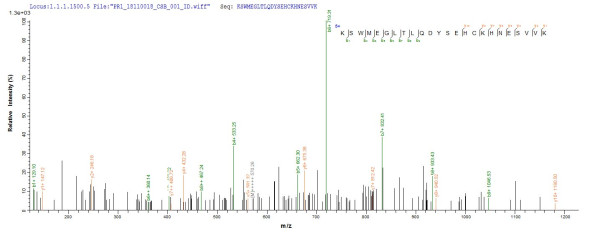 26S proteasome non-ATPase regulatory subunit 14 (PSMD14), human, recombinant