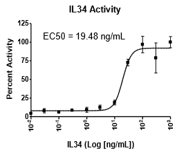 CSF1R / SRE Reporter Kit (MAPK/ERK Signaling Pathway)