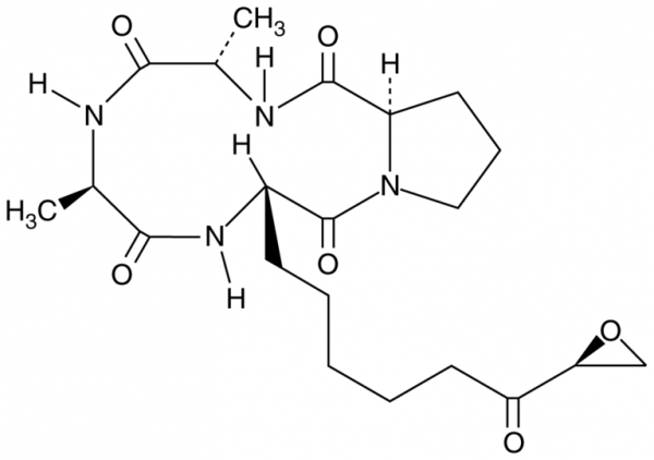 HC Toxin