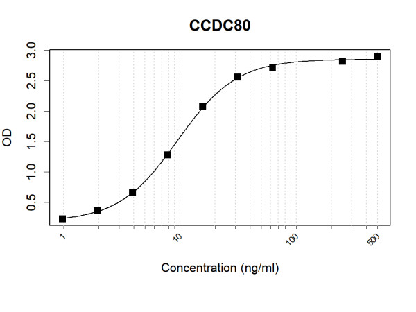 Anti-Human CCDC80 Antibody Pair