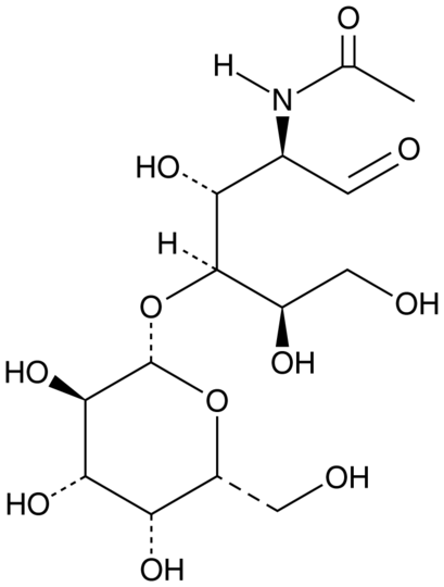 N-acetyl-D-Lactosamine