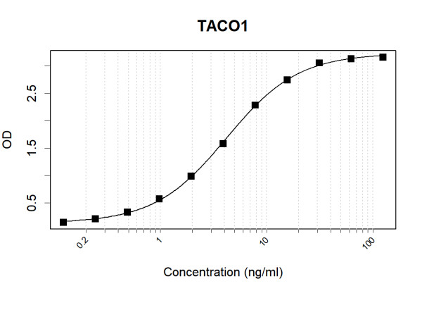 Anti-Human TACO1 Antibody Pair