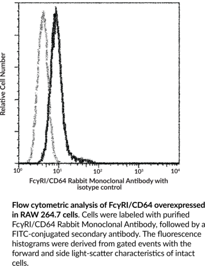 Anti-FcgammaRI/CD64 Rabbit Monoclonal Antibody (Clone 027)