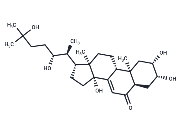 Ecdysone