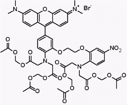 Rhod-5N, AM