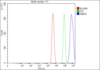 Anti-Mbd4 / Methyl-CpG-binding domain protein 4