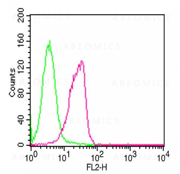 Anti-hNOXA (Clone: ABM16G6)