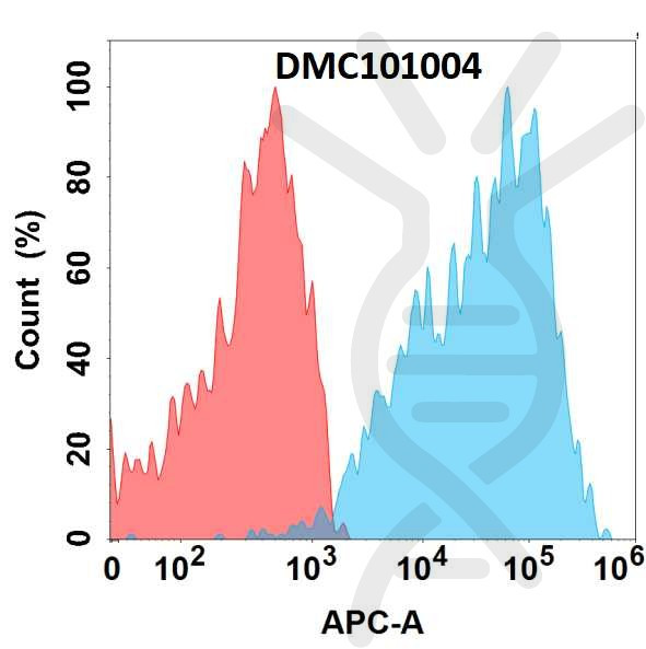 Anti-GPC1 antibody(1B8), IgG1 Chimeric mAb