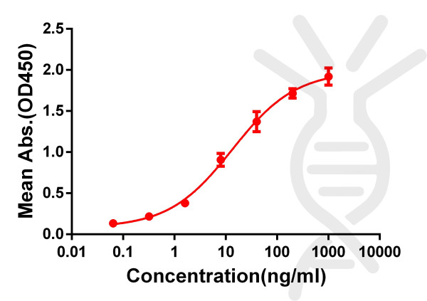 Anti-CD33 antibody(DM77), Rabbit mAb