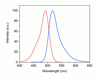 iFluor(TM) 488 succinimidyl ester