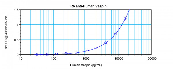 Anti-SERPINA12 / Vaspin