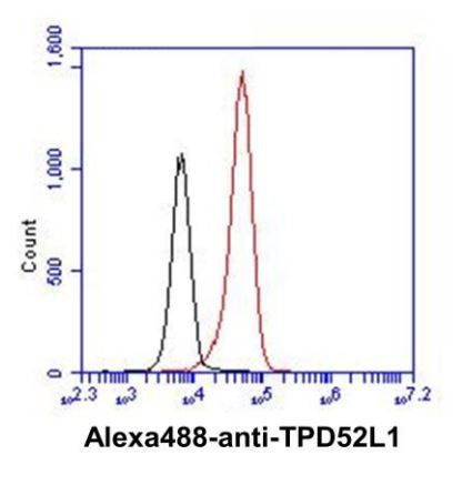 Anti-TPD52L1 / D53, clone d1C5