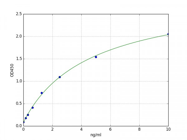 Human ATG12 / APG12 ELISA Kit