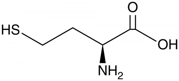 L-Homocysteine