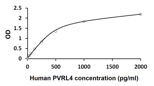 Human PVRL4 ELISA Kit