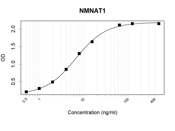 Anti-Human NMNAT1 Antibody Pair