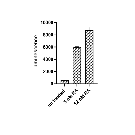 RARE Luciferase Reporter Lentivirus (Retinoic Acid Receptor Signaling)