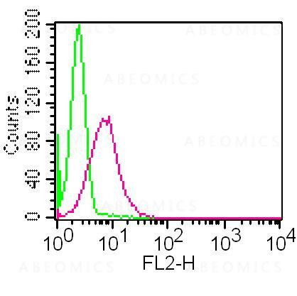 Anti-TLR9 (Clone: ABM1C51) PE conjugated