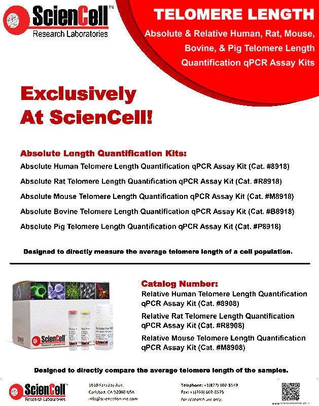 Absolute Length Quantification Kits
