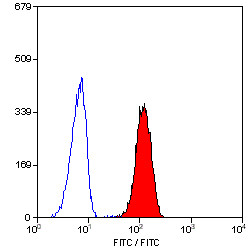 Anti-CD32, clone AT10