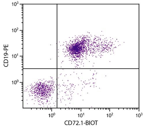 Anti-CD72 (Biotin), clone 10.1.D2