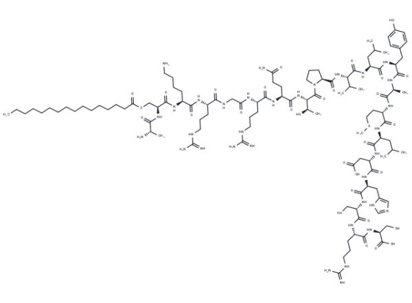 S-palm P0(180âEUR"199)