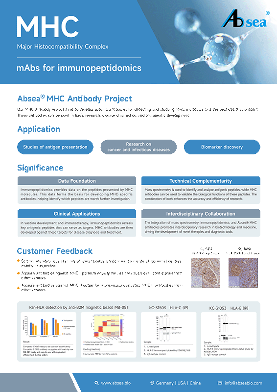 mAbs for Immunopeptidomics