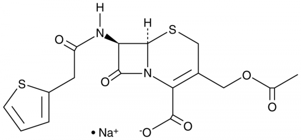 Cefalothin (sodium salt)