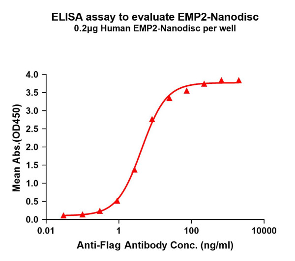 EMP2 (human) full length protein-synthetic nanodisc