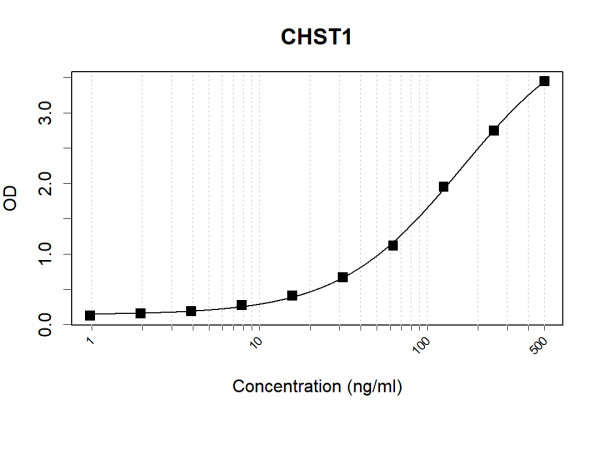 Anti-Human CHST1 Antibody Pair