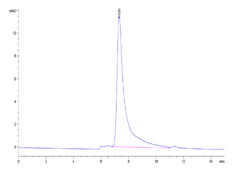 IL-23 alpha&amp;IL-12 beta, His, Mouse