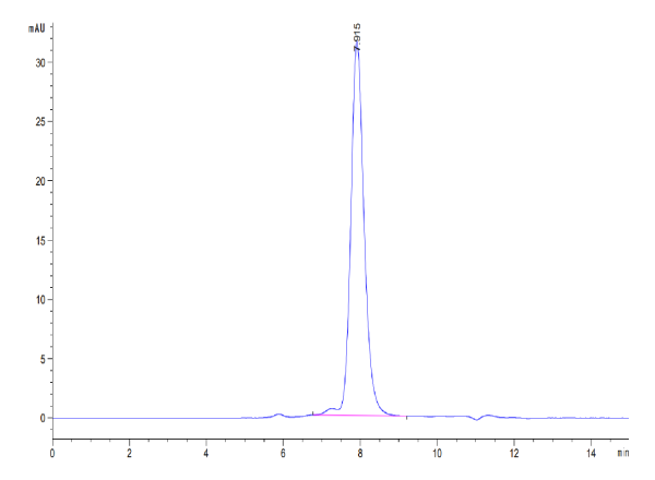 Human ALK-1/ACVRL1 Protein