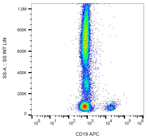 Anti-CD19 (APC), clone 4G7
