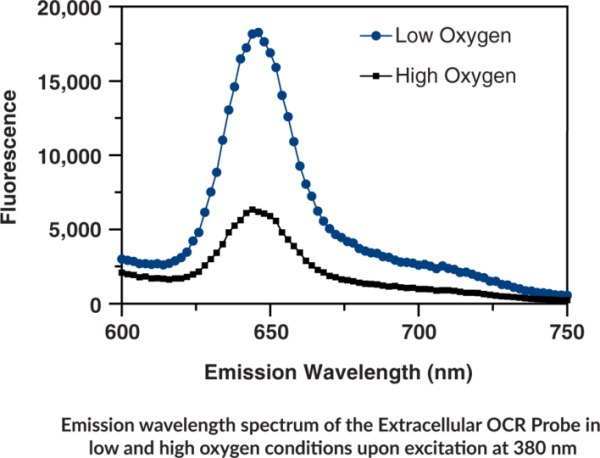 Extracellular Oxygen Consumption Assay Kit
