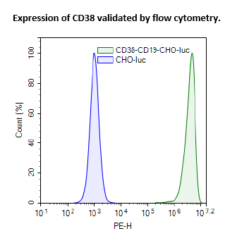 CD38 / CD19 / Firefly Luciferase CHO Recombinant Cell Line