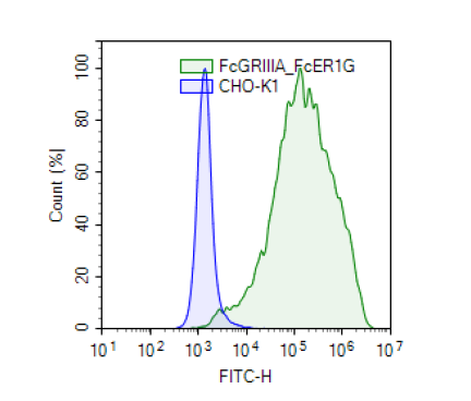 FcER1G Lentivirus