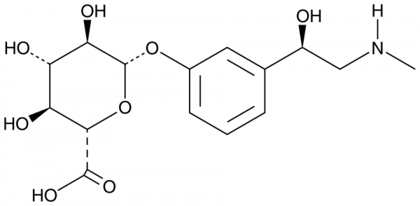 Phenylephrine Glucuronide