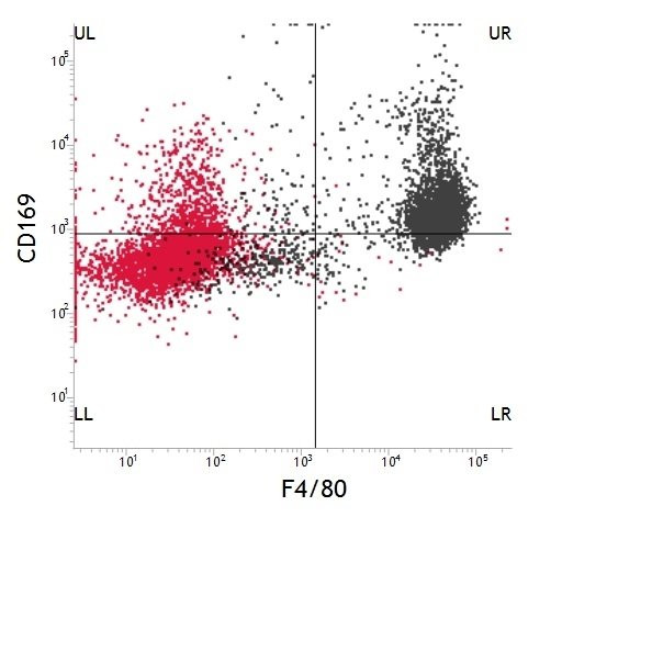 Anti-EMR1 F4/80 (APC), clone Cl:A3-1