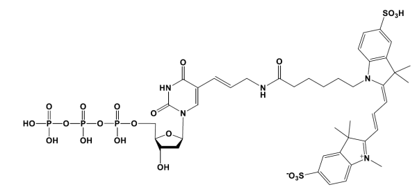 Sulfo-Cyanine3 dUTP