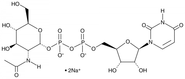 UDP-N-acetyl-D-Glucosamine (sodium salt hydrate)