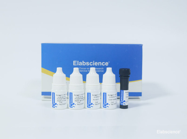 2-step plus Poly-HRP Anti Rabbit IgG Detection System (With DAB Solution)