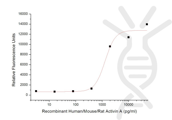 Human/Mouse/Rat Activin A Protein
