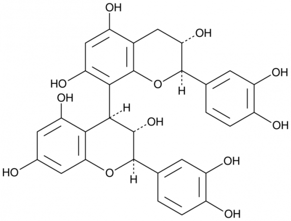 Procyanidin B3